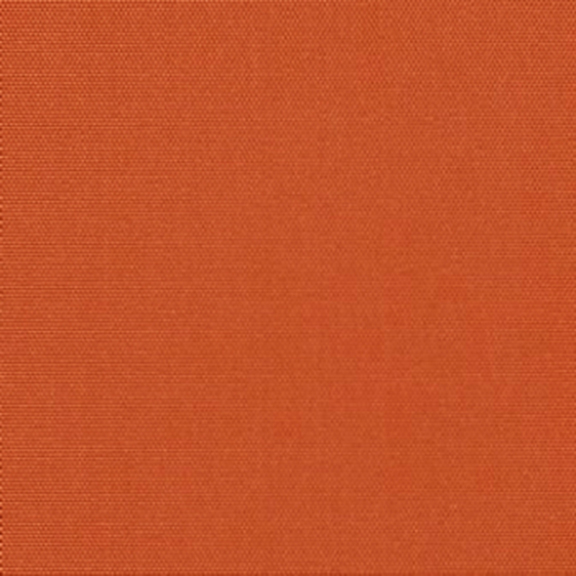 South Beach Blackout Pumpkin–