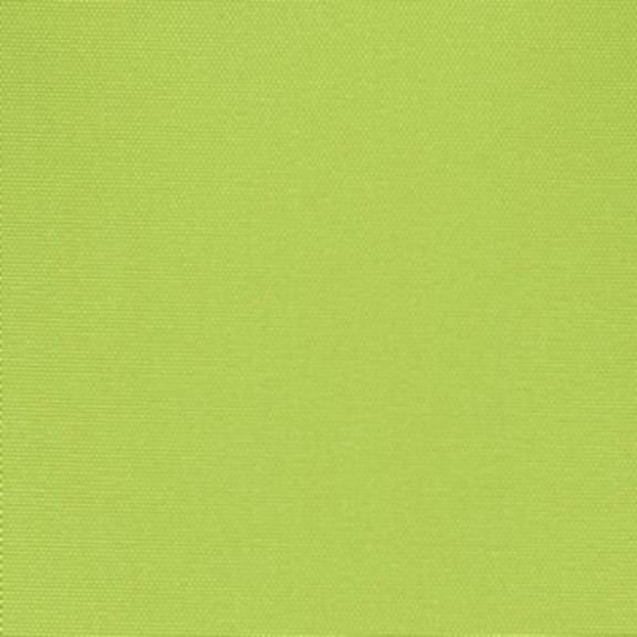 south Beach Blackout Grass–